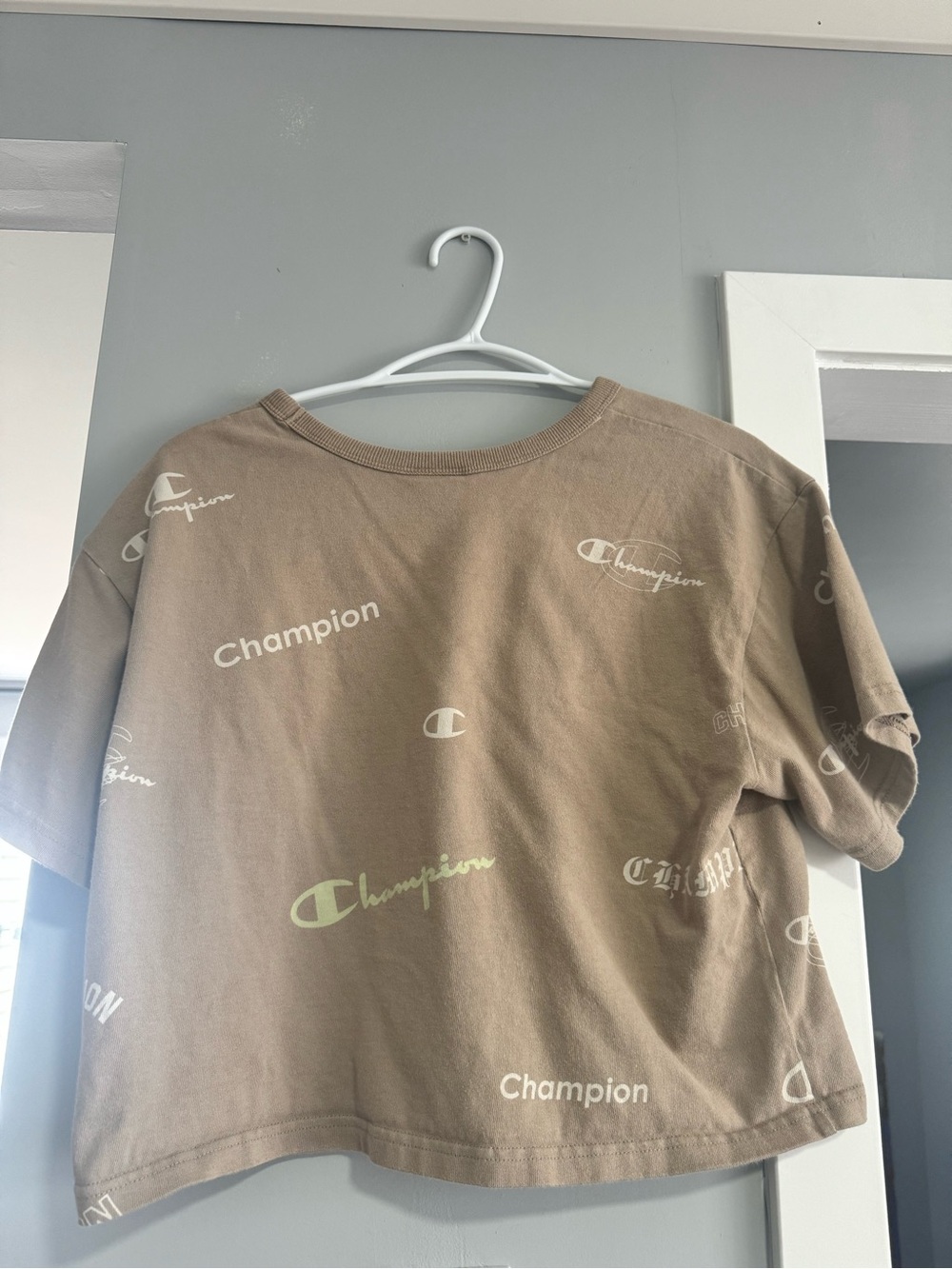 Champion Cropped Logo Tee in Taupe Brown